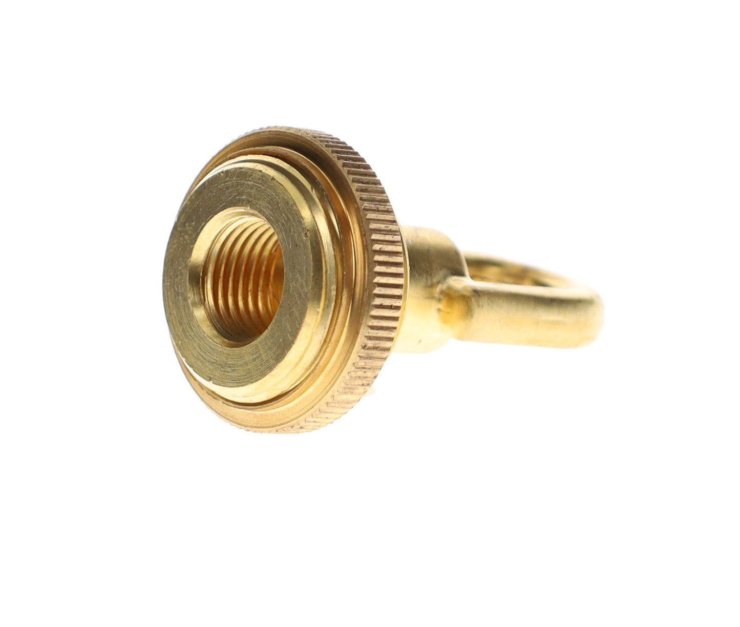 Cast Unfinished Brass Screw Collar Loop Canopy Set, Tap 1/4IP, Mounting Hardware Kit (10951U)