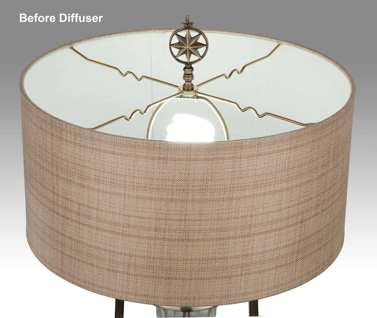 Shade Diffusers Acrylic Lamp Shade Diffusers - CHOICE of Size (08338) - Antique Lamp ...