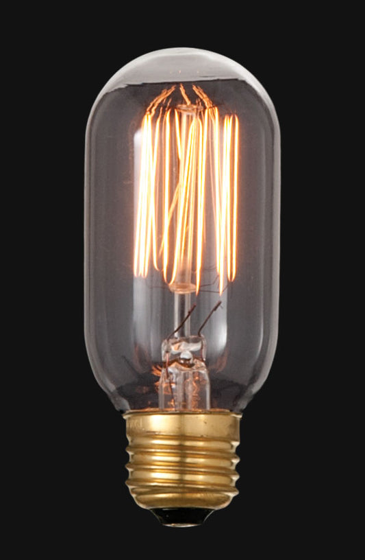Medium Base Vintage Style Oval Light Bulb